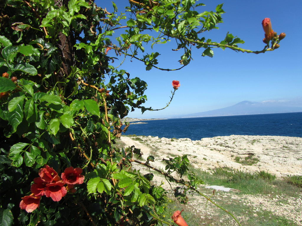 Villa Sicily Sul Mare Tra Catania E Siracusa Augusta Værelse billede